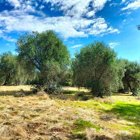 Agriturismo Lillastro 브라카그니 외부 사진