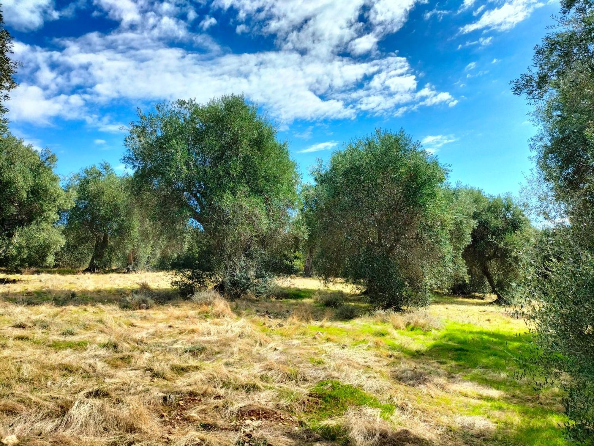 Agriturismo Lillastro 브라카그니 외부 사진