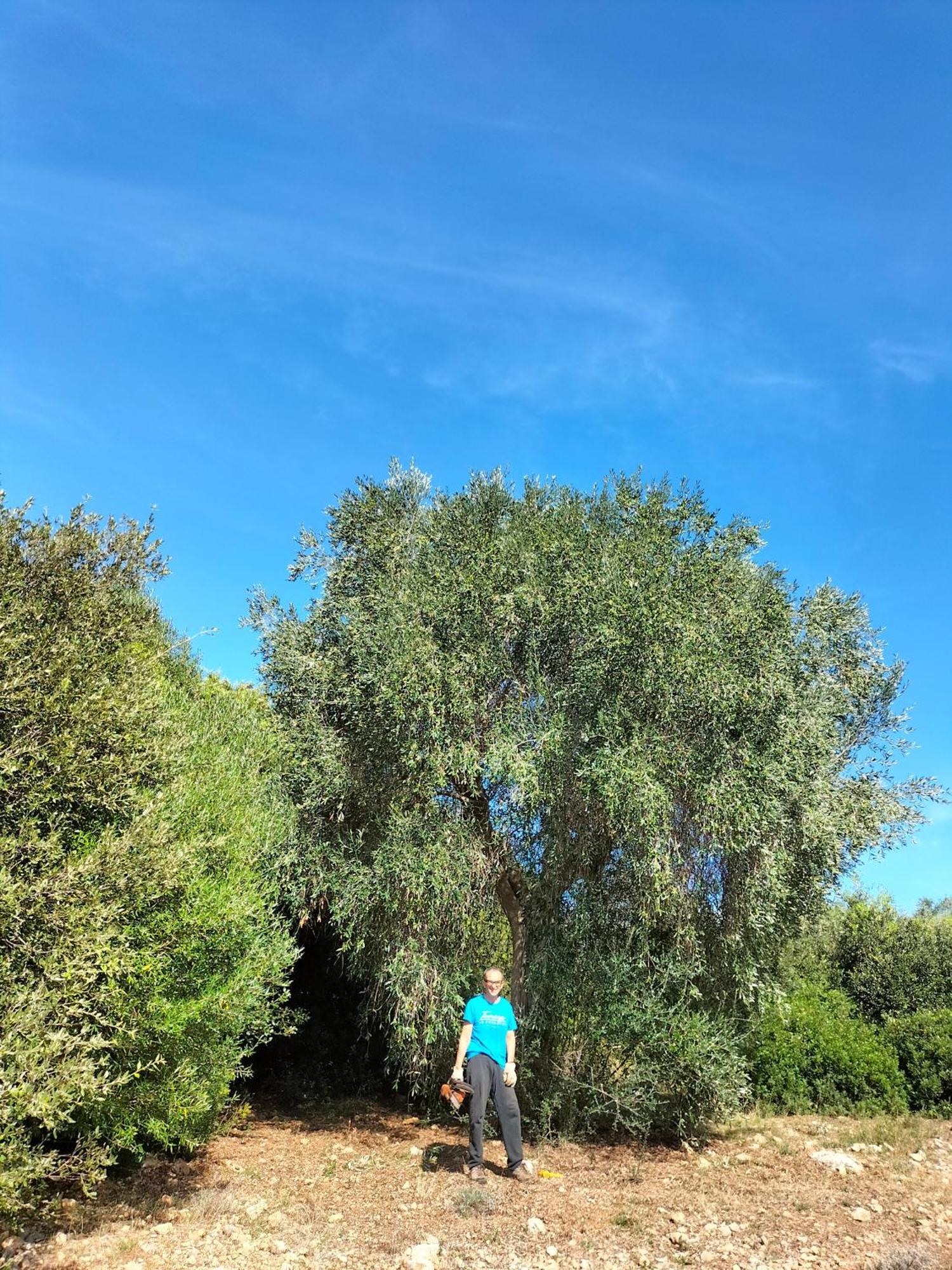 Agriturismo Lillastro 브라카그니 외부 사진