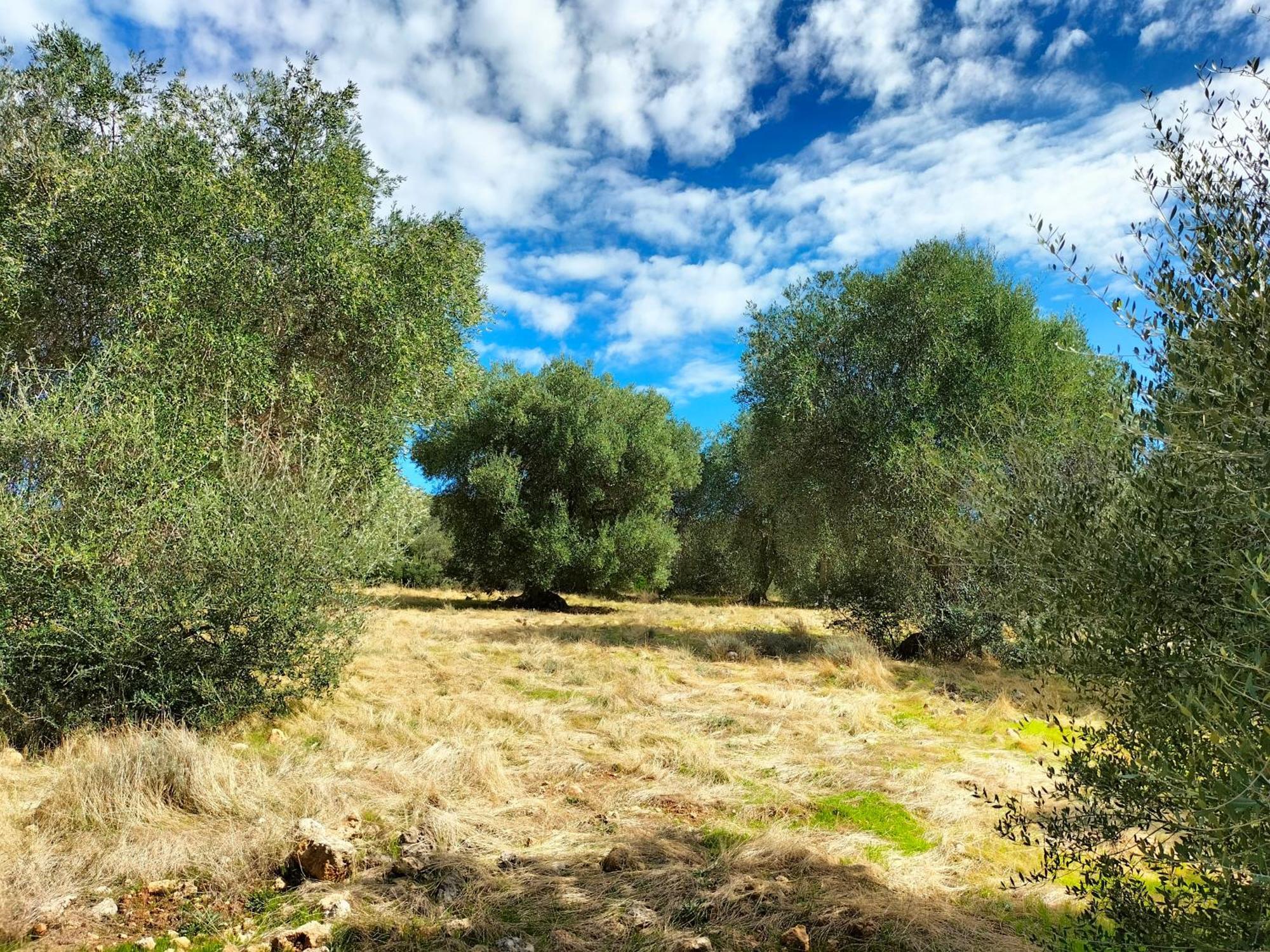 Agriturismo Lillastro 브라카그니 외부 사진